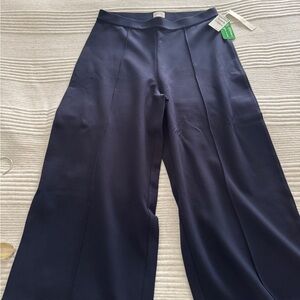 Caslon Navy Women's Pants